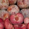 Combo Pluot Tree (4 Varieties)
