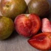 Combo Pluot Tree (3 Varieties)