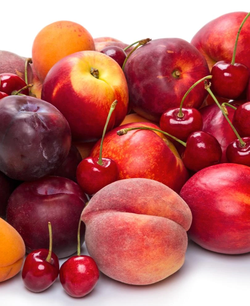 Fruit Cocktail (5 Varieties) 1 Fruit Cocktail (5 Varieties)